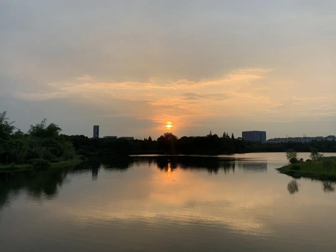 我和我的大学——江安河畔的随笔