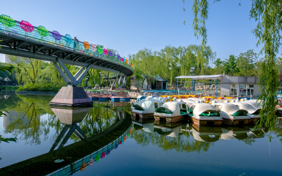 济南值得打卡的公园,好玩的泉城公园