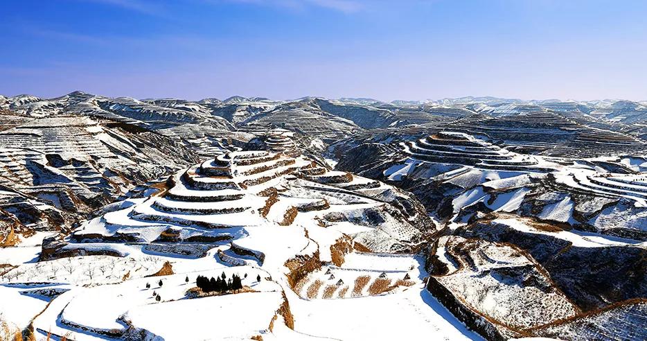 米脂小米最好的牌子是哪个,延安小米好还是米脂小米好