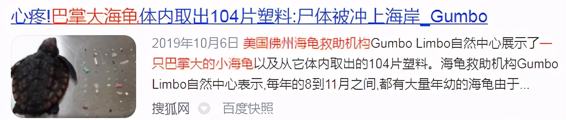 我们丢掉塑料袋都去哪了,我们被丢掉的塑料都去哪里了