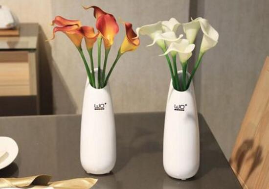 马蹄莲的养殖方法和注意事项,马蹄莲养殖技术方法和注意事项