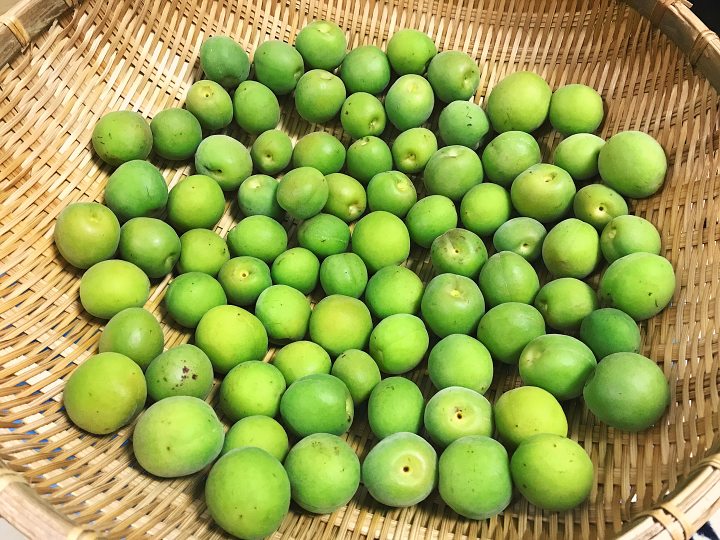 青梅酒怎么泡制的好喝又简单,四月份泡青梅酒的方法