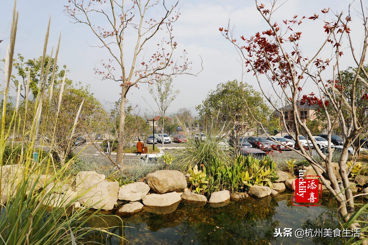 「杭州美食生活」径山淡竹元民宿，享受禅茶竹韵慢生活