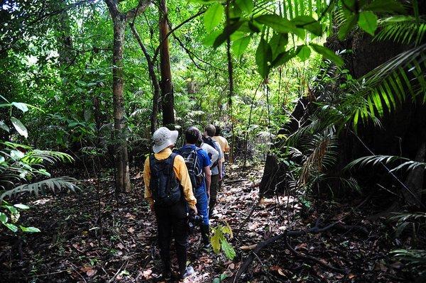 人类禁区地球之肺亚马逊雨林,勇闯地球禁区探索南美亚马逊雨林