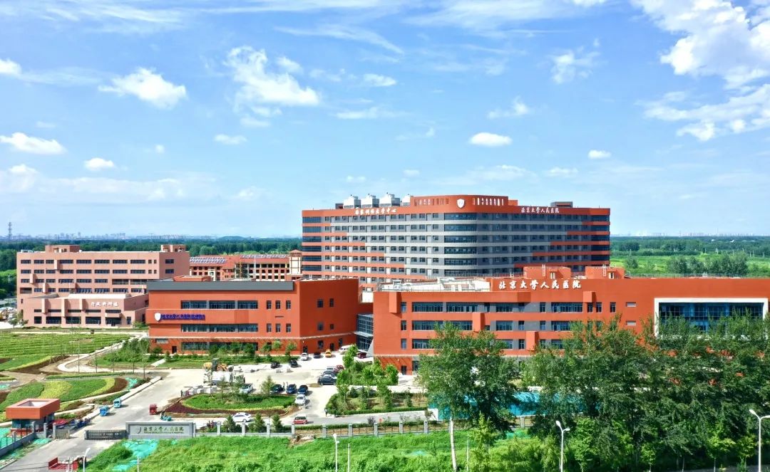 武清区最新发展消息,武清区这些年的发展趋势