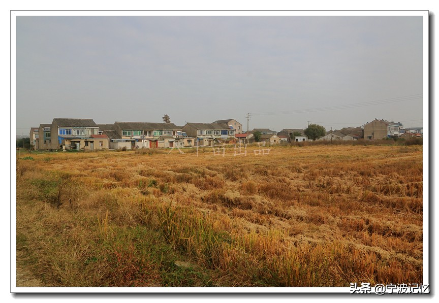 奉化方桥拆迁户,奉化区方桥街道方桥新村何时拆迁