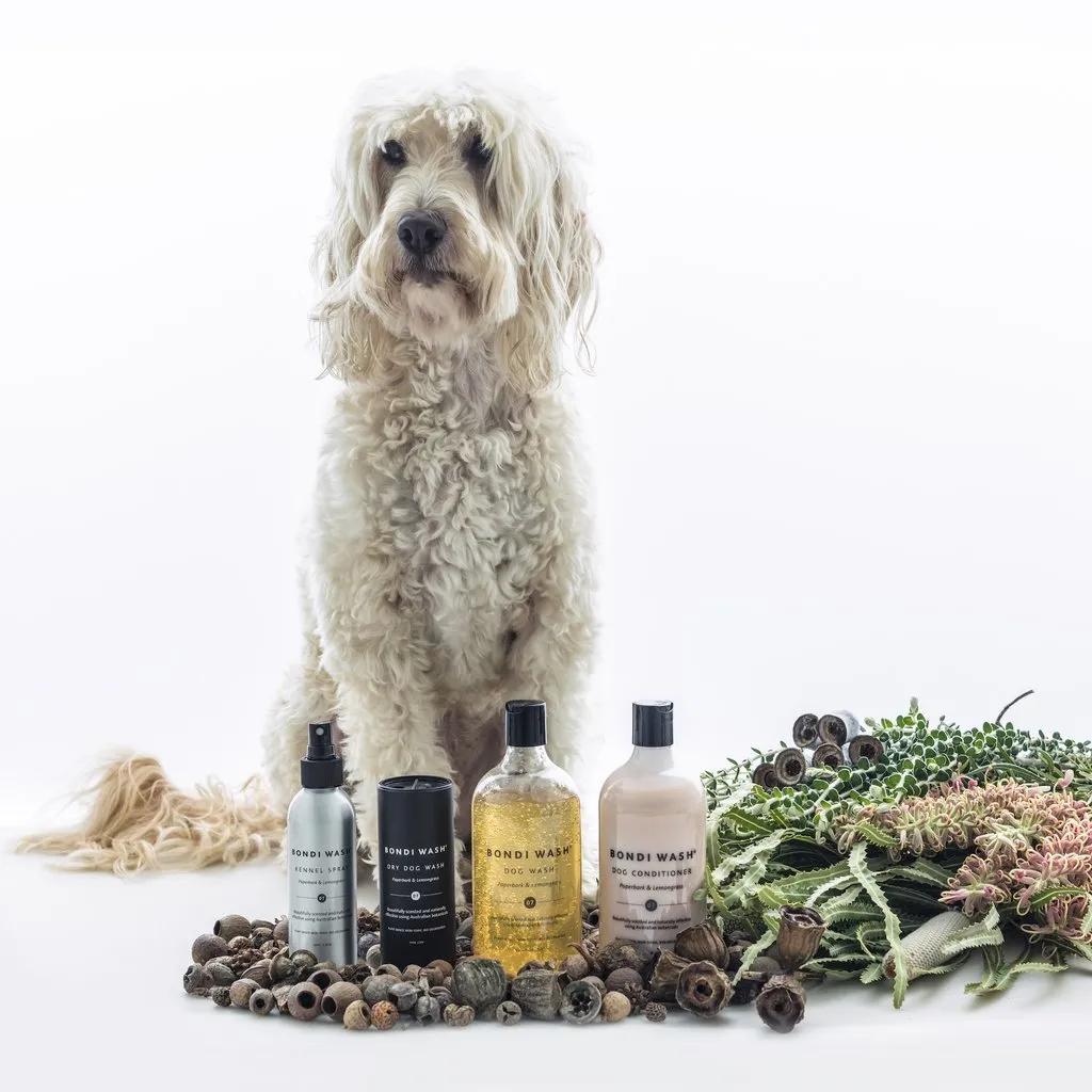 衣物洗护清洁好物推荐,换季衣物洗护