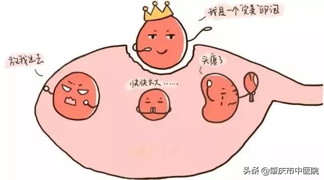 备孕妈妈看过来！想“一击即中”？超声排卵监测的方法了解一下