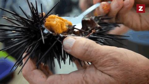 为了猛一点，中国男人吃了多少性器官？