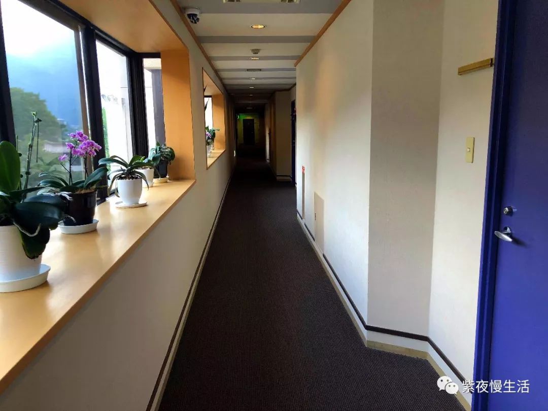 未见富士，幸运依在-秀峰阁湖月