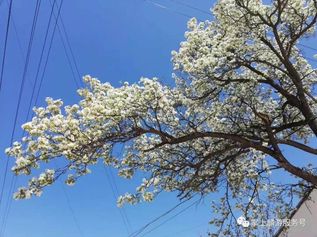 麟游旅游攻略一日游,宝鸡五一游攻略