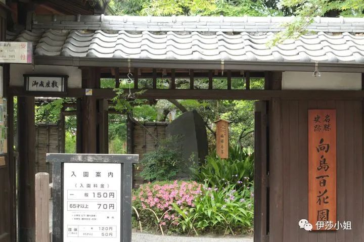 不看樱花能不能进武大,看樱花不一定要去日本的说说