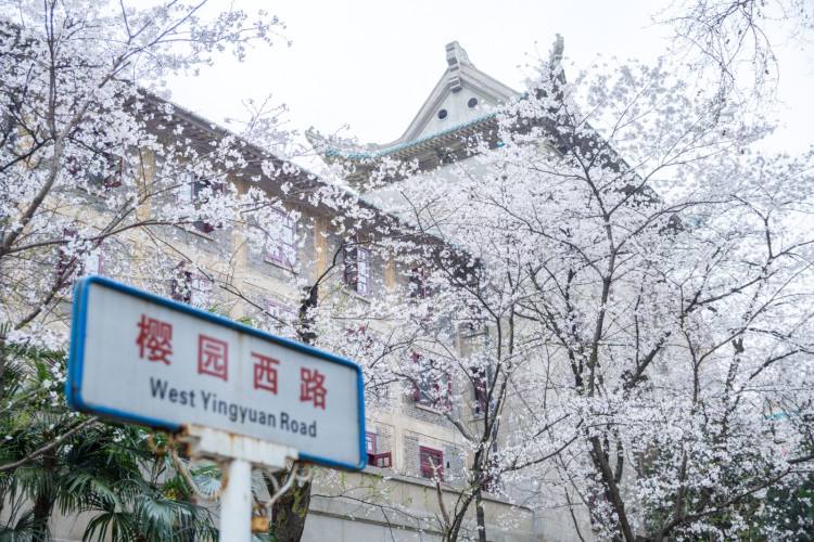 武汉大学法学专业,实力如何?学姐:每年接纳不少清北推免生