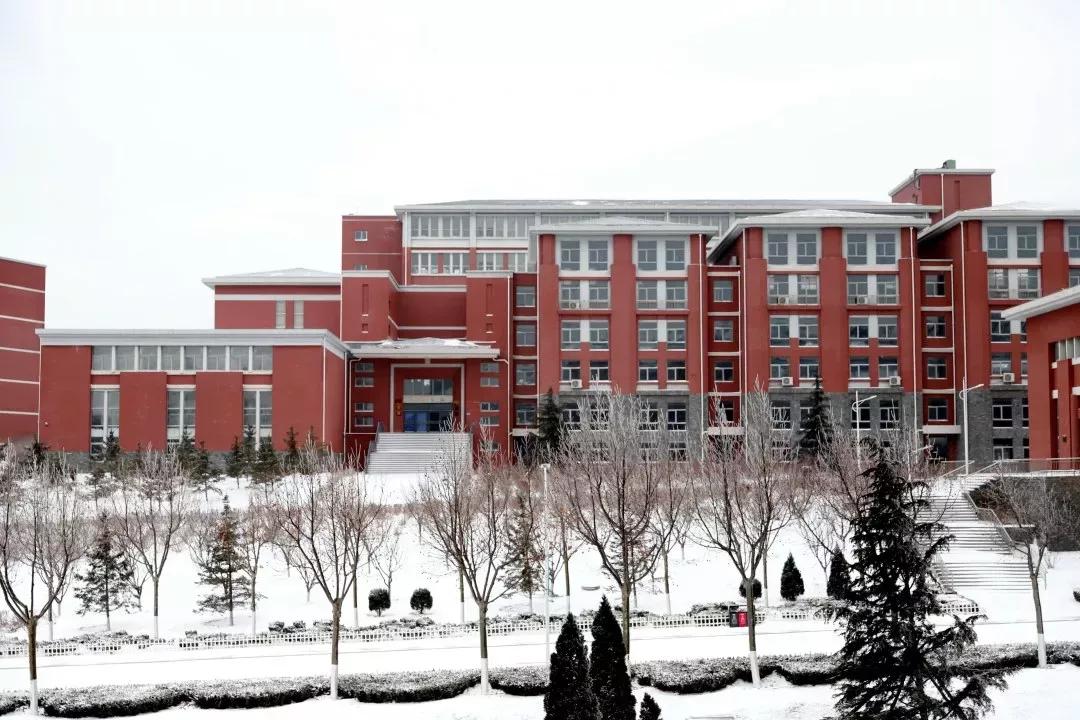 民办学校大连艺术学院全国排名,大连艺术学院辽宁排名