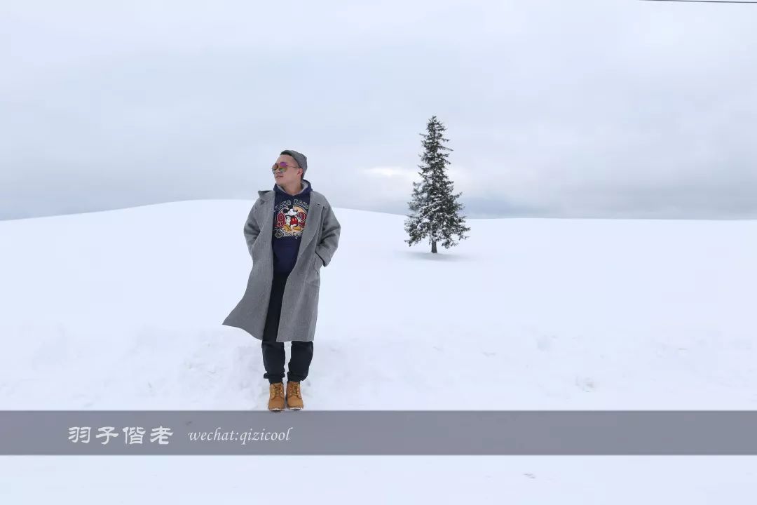 老实说，这一趟北海道就是为了拍好看的照片去的