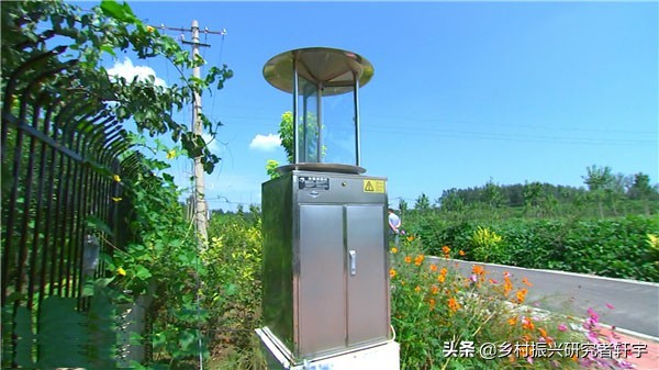 乡村振兴特色产业打造规划方案,河南柘城县乡村振兴的支柱产业