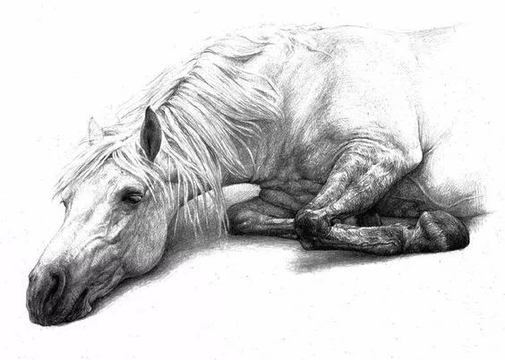 绱犳弿鍏ラ棬鍔ㄧ墿,绱犳弿鍔ㄧ墿瑙ｆ瀽