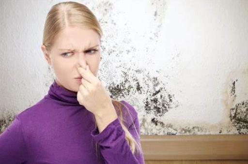 房屋管道漏水怎么处理最新方法,房屋水管漏水找漏水点最先进手段