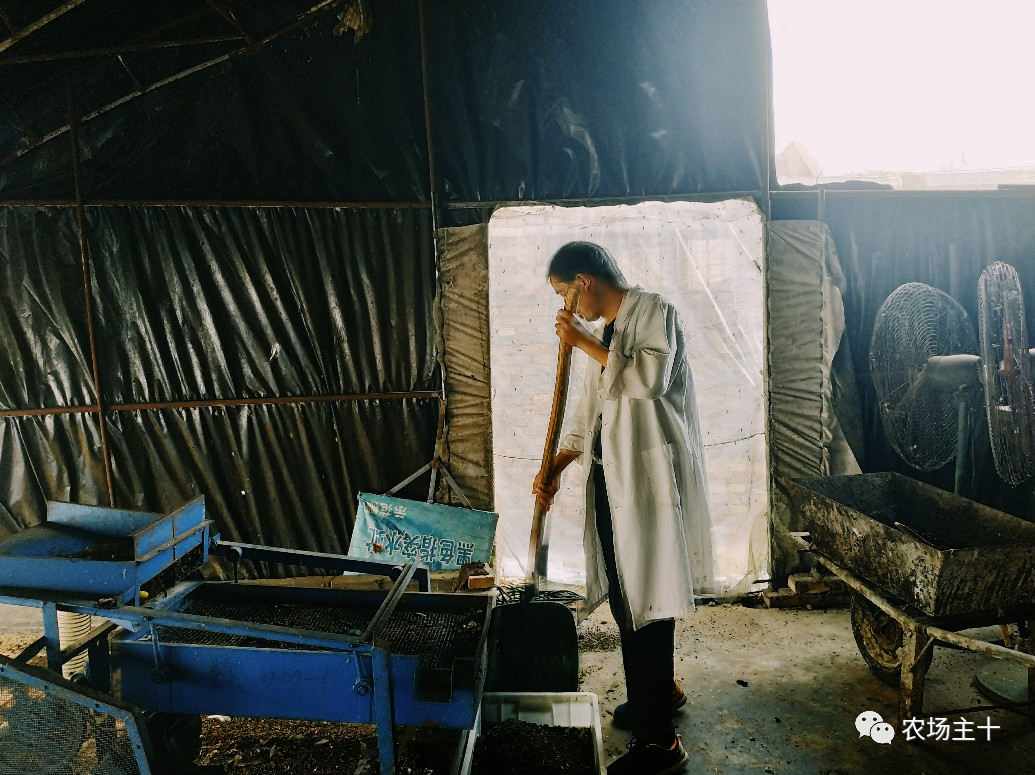 从沿街乞讨到身家亿万，“特养教父”32年的农业路堪称一部传奇史