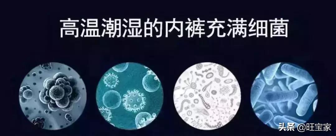 *裤内**的那些事，至关重要，未孕、已孕的女性都要知道！