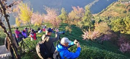 昆明适合拍照的景点有哪些,昆明大理周边旅游景点排名榜前十