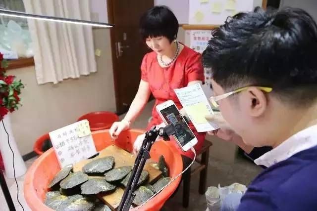 12毫米的淡水珍珠多少钱一颗,疯狂的黑珍珠