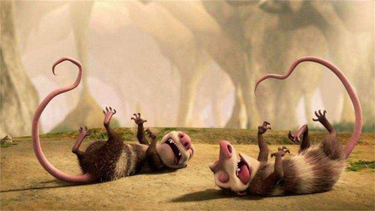 鸡画一条直线不动,对鸡画一根直线的反应