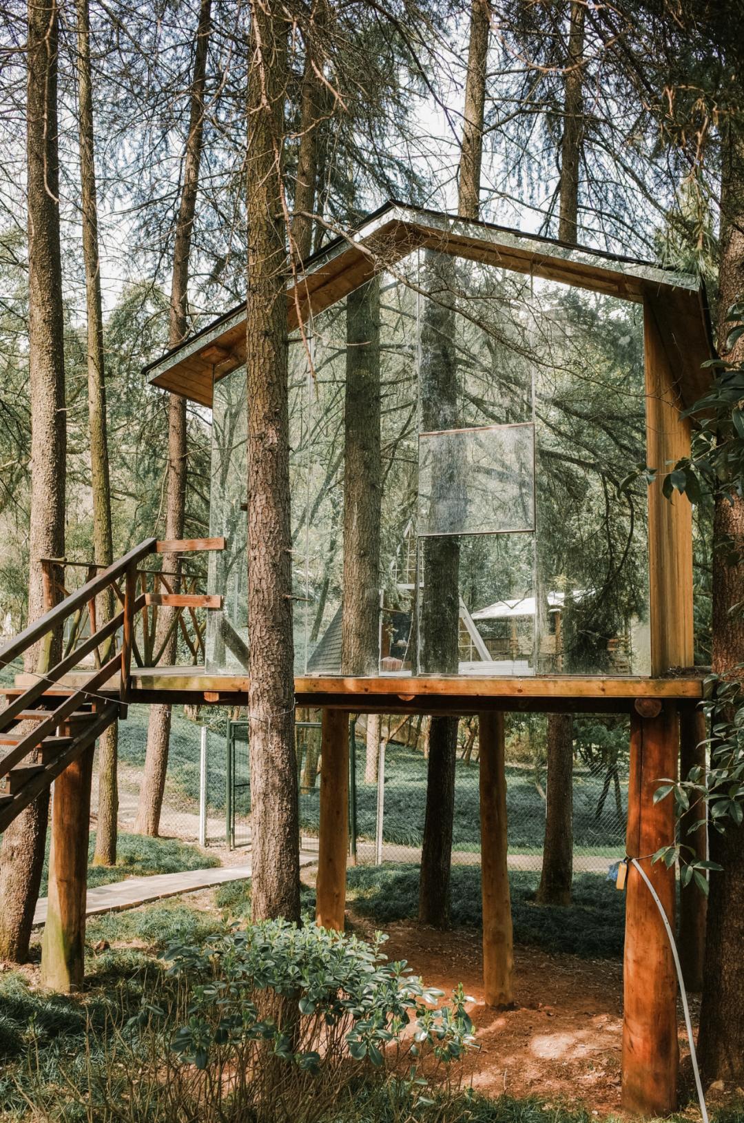 未来的杭州西湖,浙江杭州新西湖