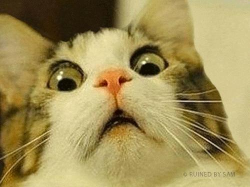 一人吃两人补，准妈妈们如何更科学地食用海参呢？