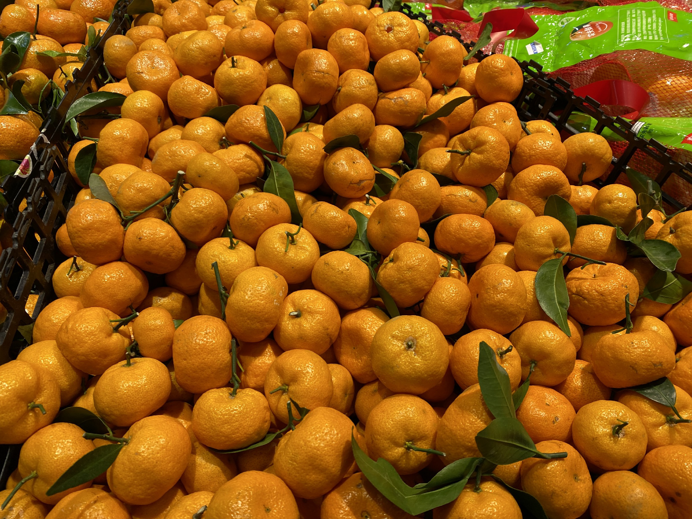 卖砂糖橘有什么注意事项,买砂糖的标准