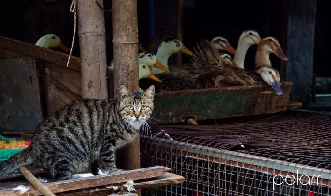 铜元局记忆视频,铜元局记忆照片