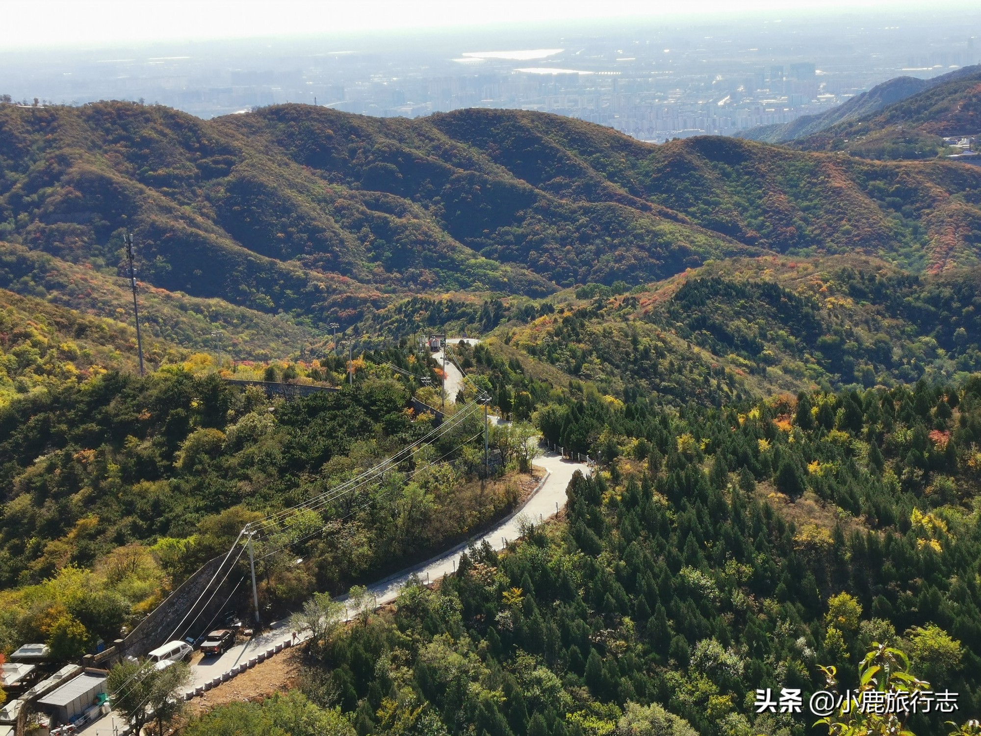 北京免费玩森林公园有哪些,北京森林公园一日游最佳攻略