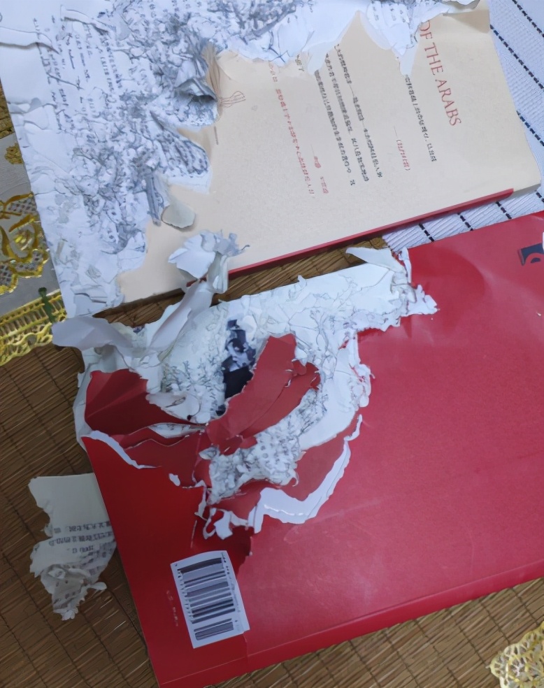 讲一下新手养土拨鼠的注意事项,不懂科学喂养仓鼠