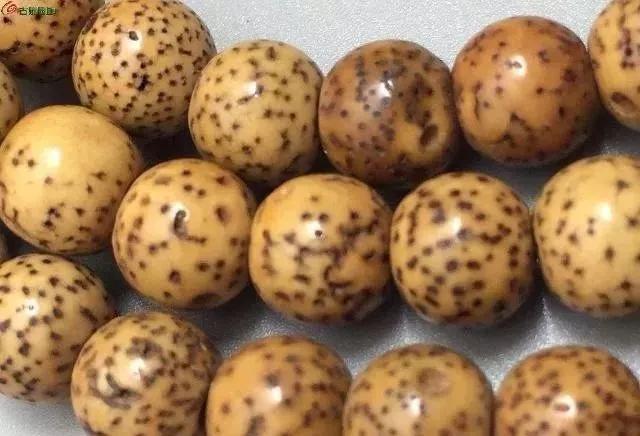 鸡油黄星月菩提盘出来的效果图,鸡油黄星月菩提为什么盘了不变色