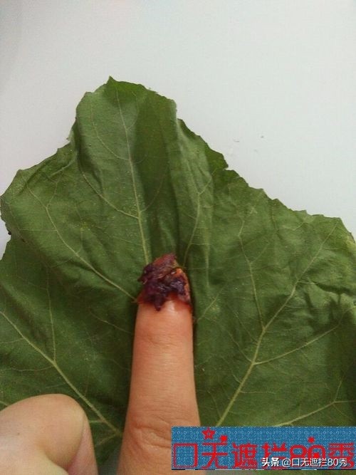 口无遮拦原视频,口无遮拦是怎样的