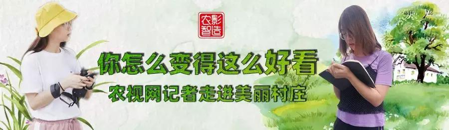 村里应该怎么治理,村里垃圾处理解决办法