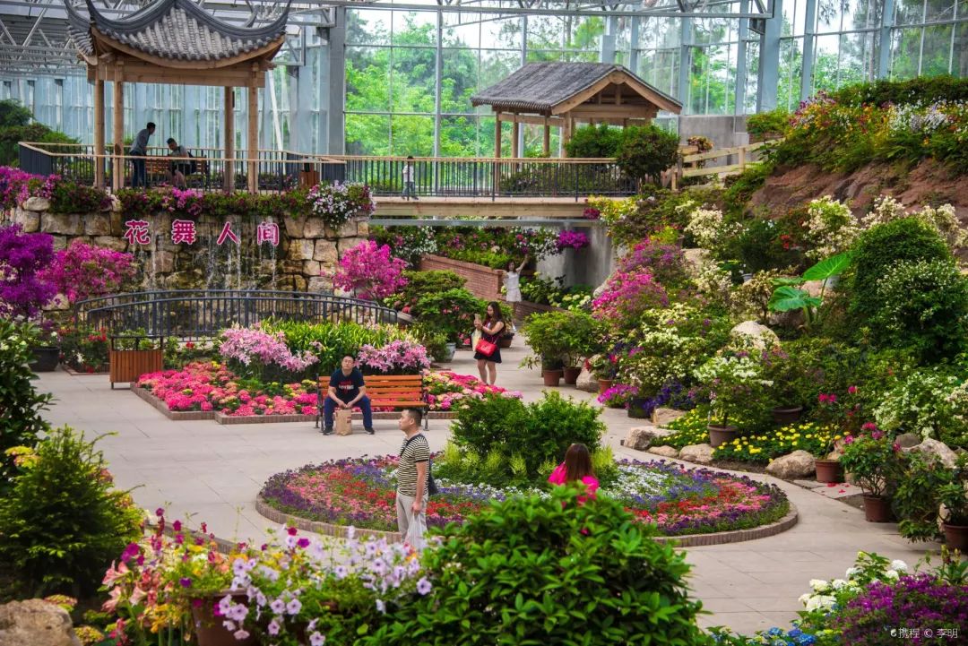 周末游玩优惠票,0元优惠票