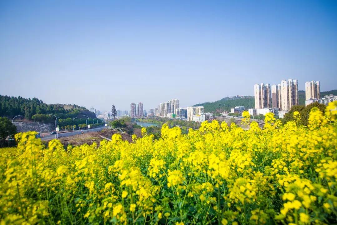 荆门哪个省的,荆门是哪儿