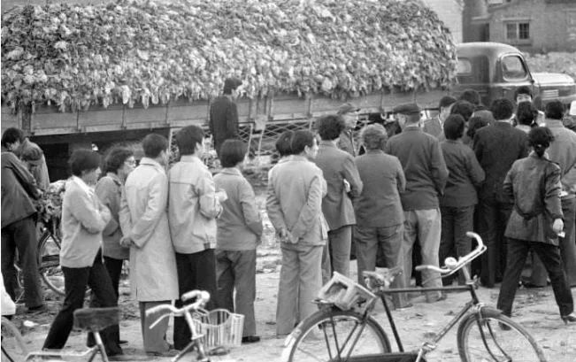 记录60后70后的童年生活,80后的童年回忆真实记录