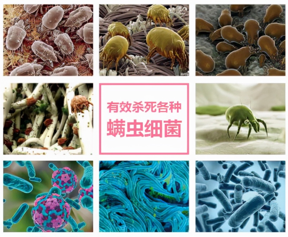 珀婷pertine除螨仪,珀婷除螨喷雾剂测评