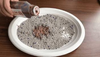 一张图学会判断猫咪拉稀严重程度,一张图学会判断猫咪呕吐