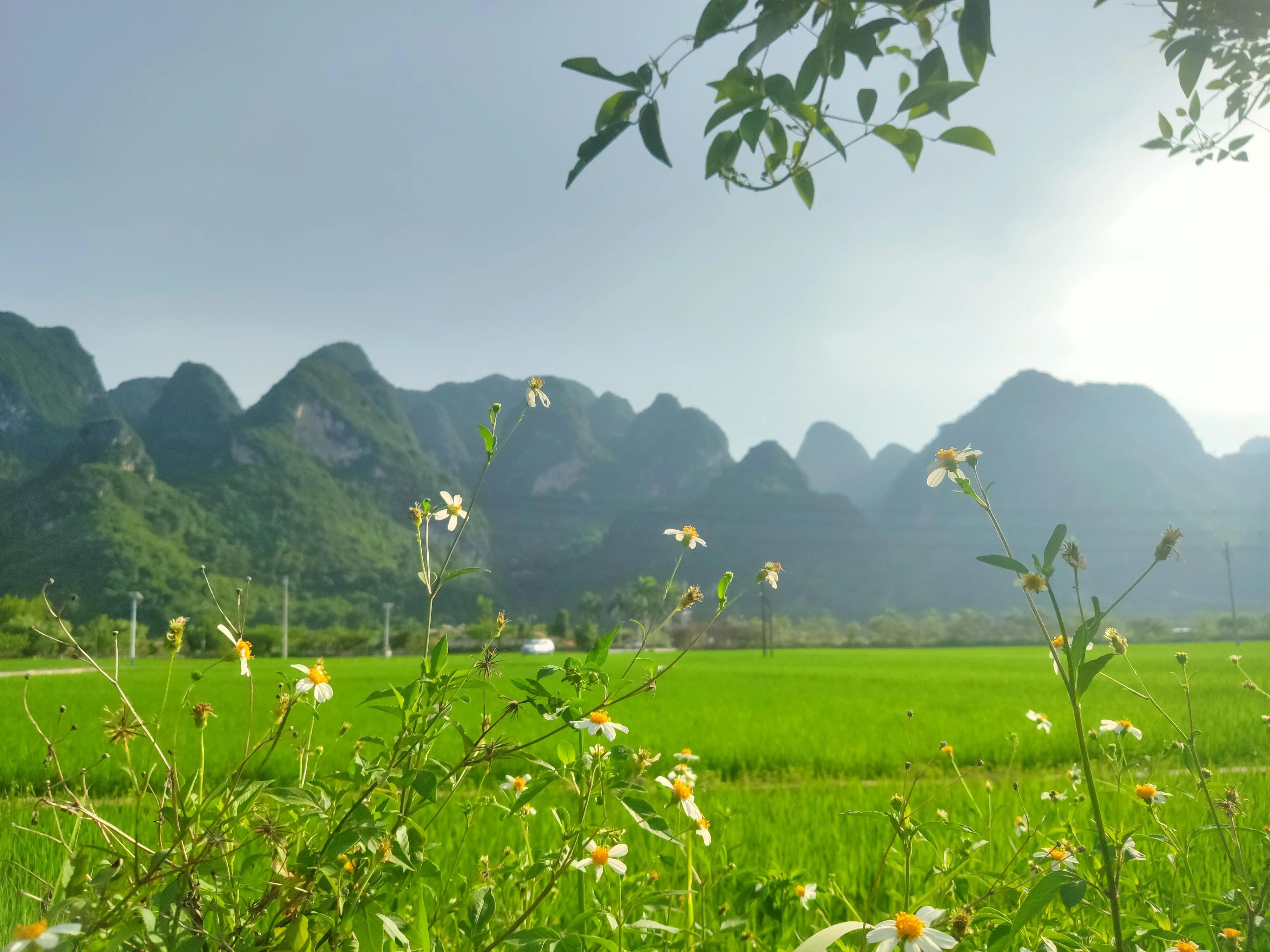 回家租车自驾,回家租车哪个软件便宜