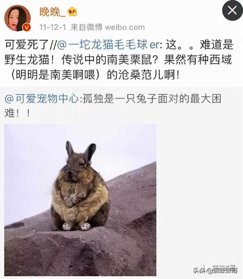 劳斯莱斯请“网红”夫妻,劳斯莱斯请了两个网红是谁