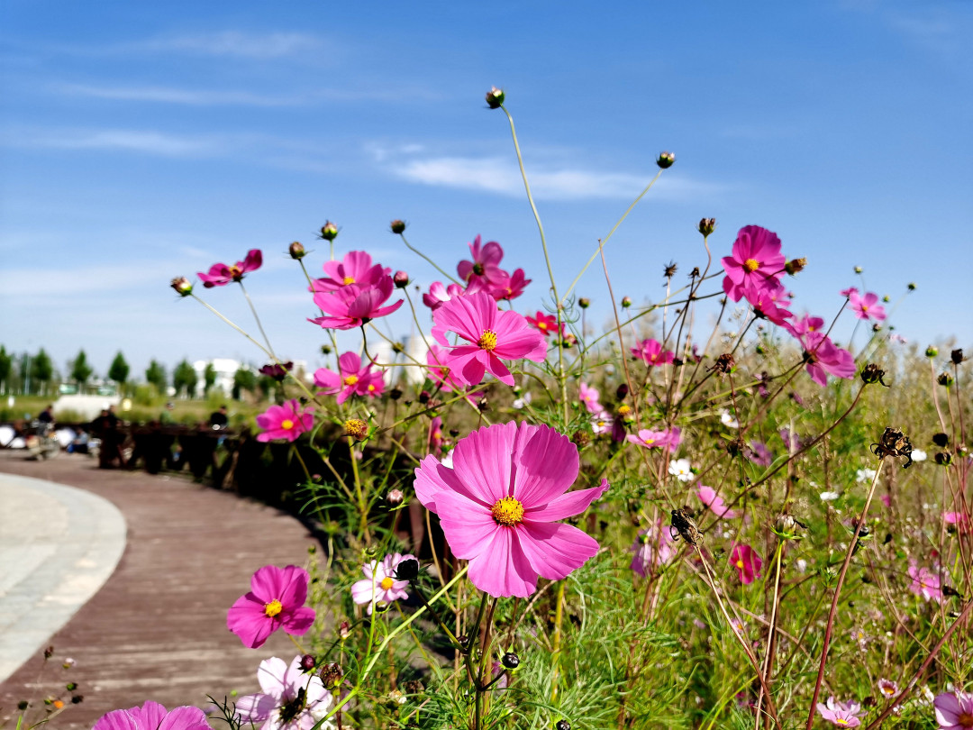 荆山旅游景点大全,荆山美景