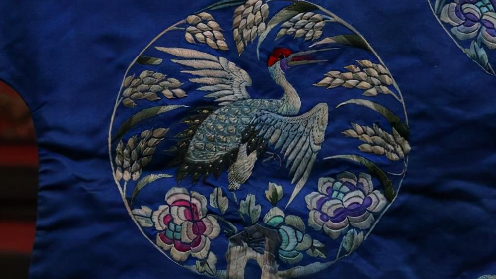 头骨最值钱鸟,头骨很珍贵的鸟