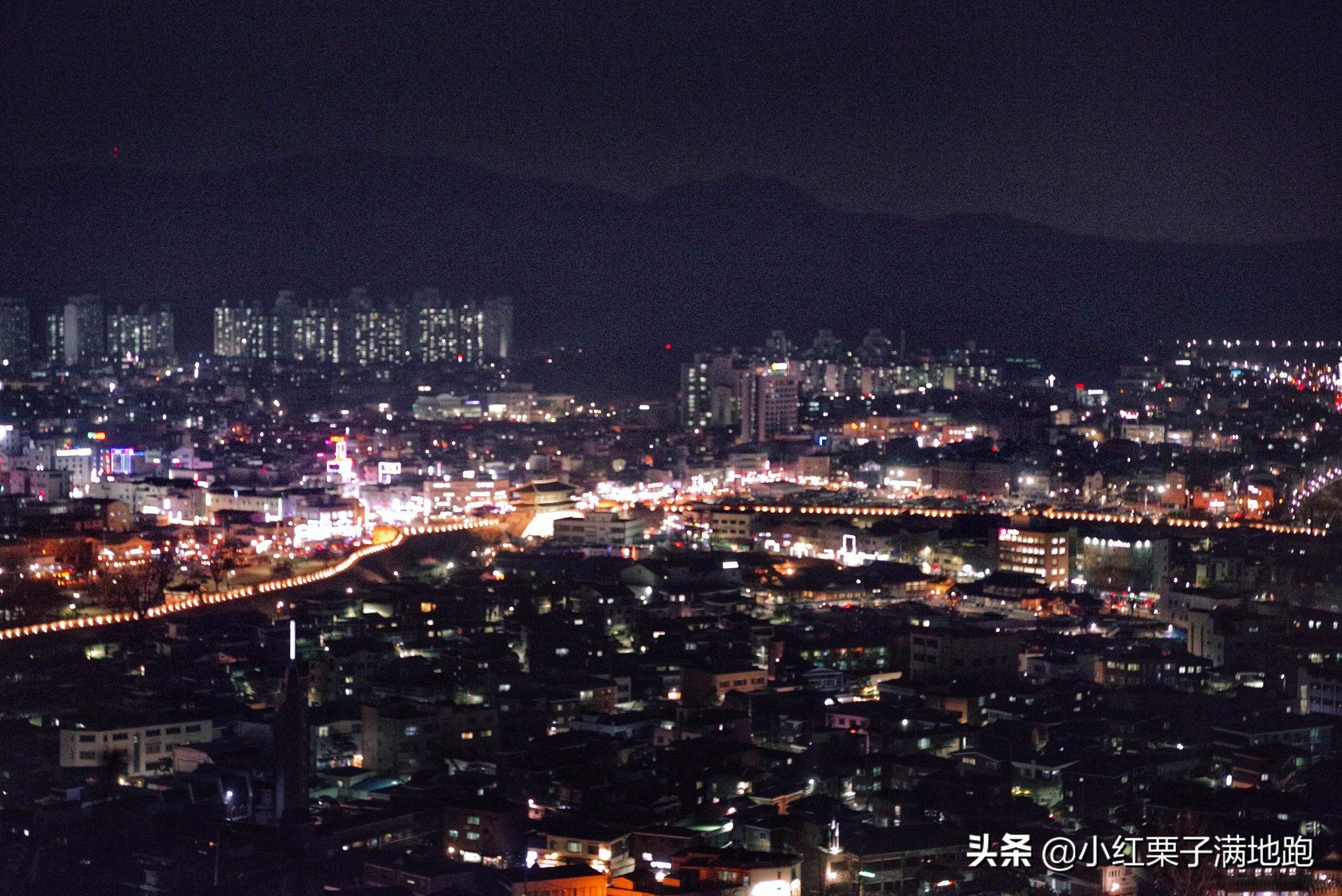 疫散花开张家界,疫散花开欢迎归来