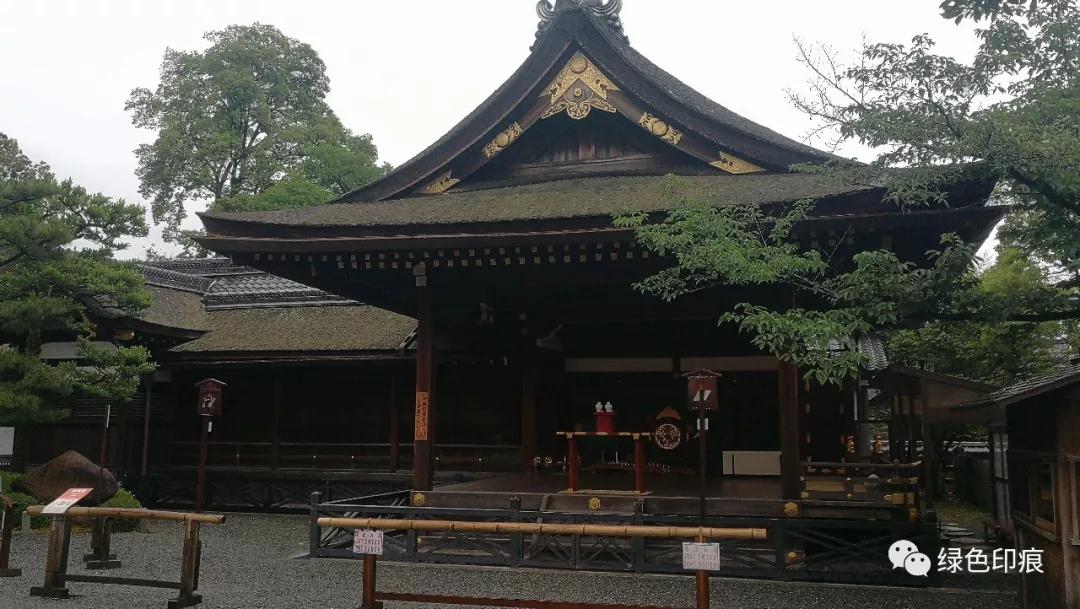 浼忚绋昏嵎澶хぞ鍗冩湰楦熷眳,浼忚绋昏嵎绁炵ぞ鍔ㄦ极鍙栨櫙