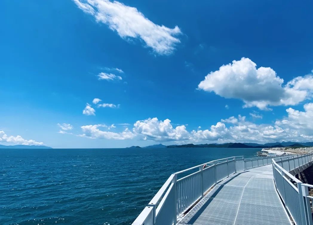 深圳新添大型高颜值公园,深圳最近新开放的公园