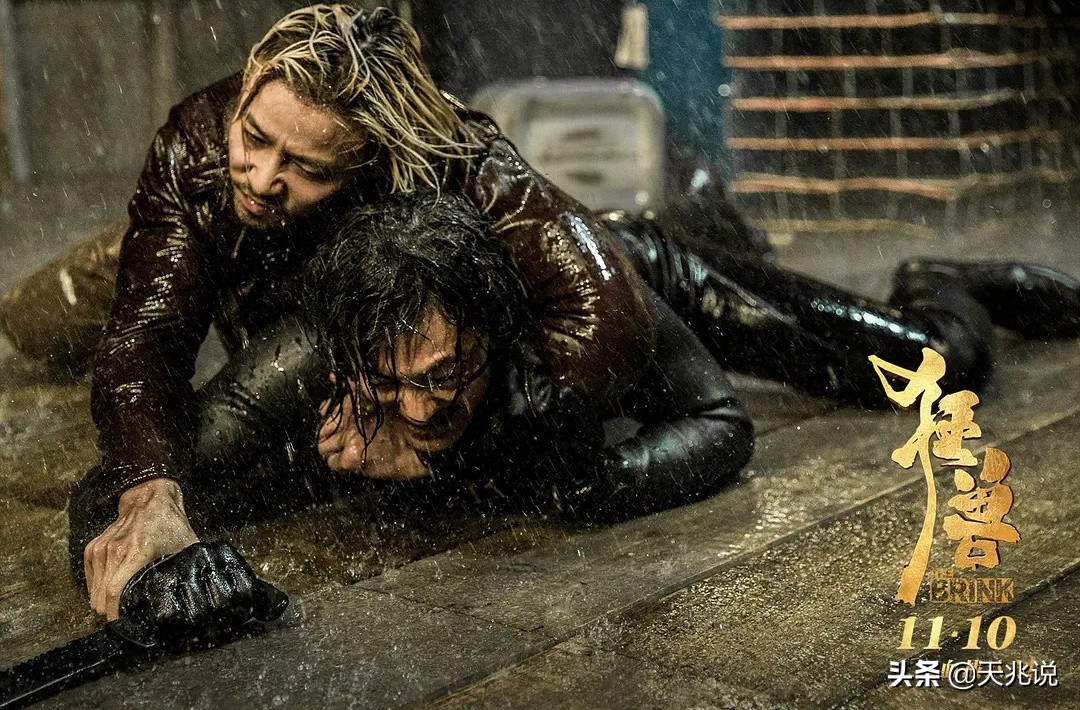 张晋武术集锦,张晋格斗经典