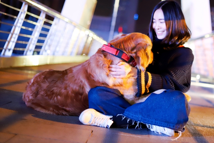 1130是什么星座,1134是什么星座